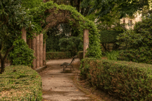 Interno Villa Comunale "C. Ruggero" - Cittanova