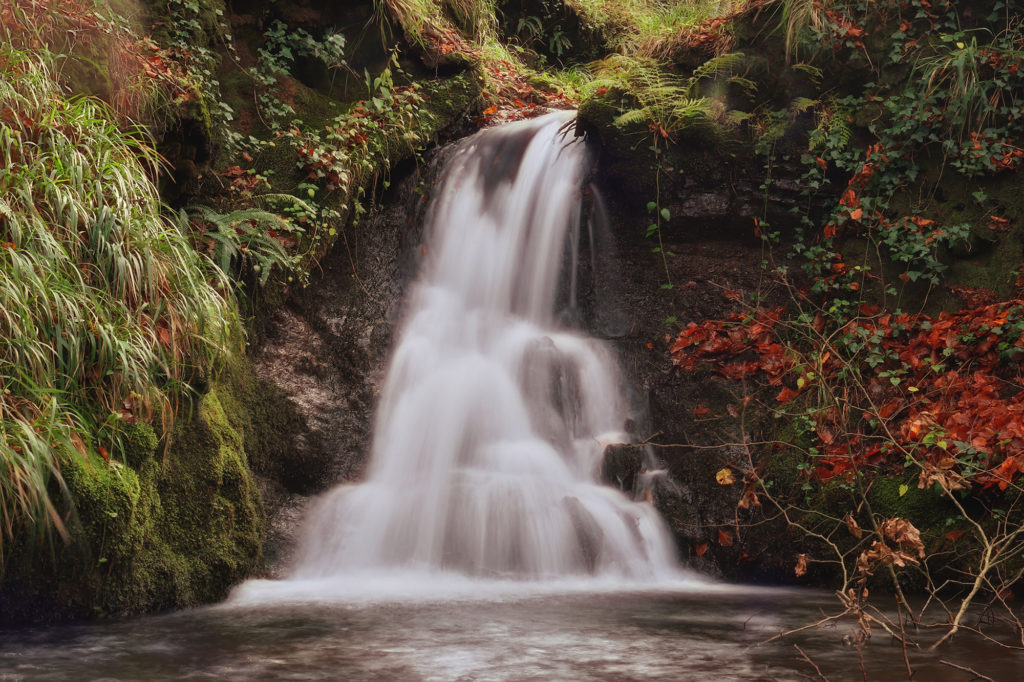 Autumn rivers